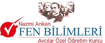 AVCILAR NAZMİ ARIKAN FEN BİLİMLERİ